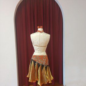 Professional Latin Dress